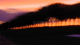 silouette,影子,光