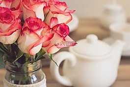 玫瑰,花束,茶话会