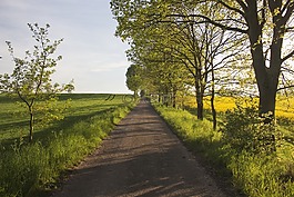 波兰的道路,农村的道路,性质