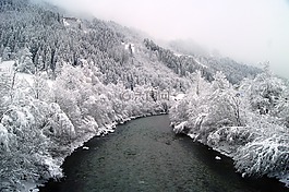 冬天,雪,寒冬