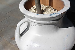 花瓶,植物,裝潢