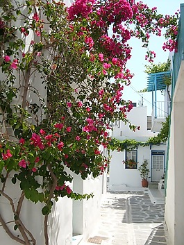 希臘,cyclades,行車線