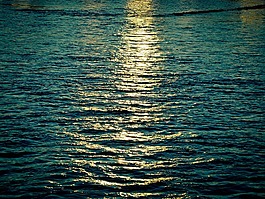 水,河,流