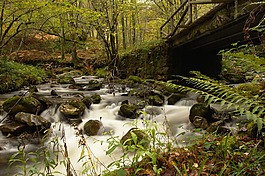 sedado,río,河