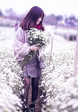 菊花,菊花鳥啼,花
