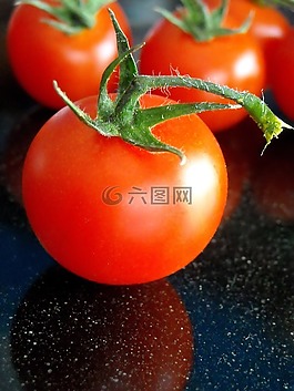 番茄,西紅柿,蔬菜