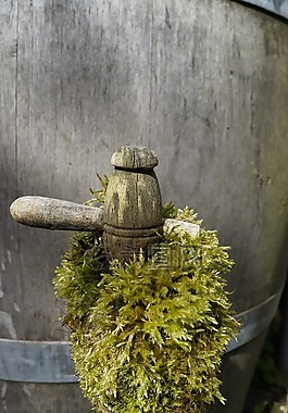 青苔,watervat,木起重機(jī)