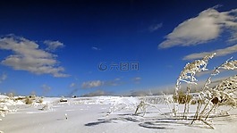 冬季景觀(guān),冷,霜
