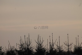 美麗,晚上,炸薯條