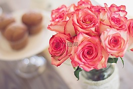 玫瑰,鮮花,花束