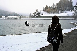 冬季,间隔,冻结
