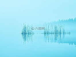 上午,薄霧,湖
