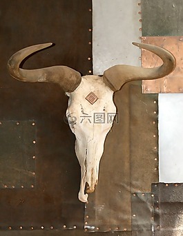 年齡,現(xiàn)年,動(dòng)物