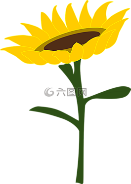 向日葵,親愛的,向日葵的字段