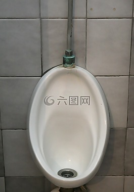 沼澤,建設(shè),廁所