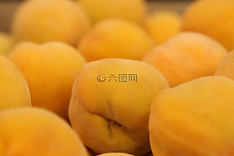 食欲,早餐,卡路里