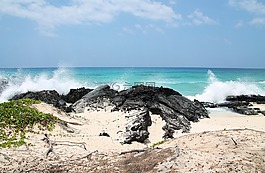 海灘,羅氏公司,海洋
