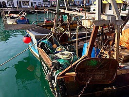 海港,釣魚,船