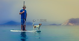 动物,海滩,狗