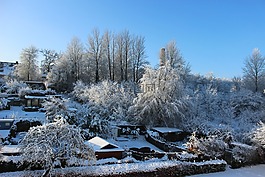 冬季景觀,雪,藍色的天空