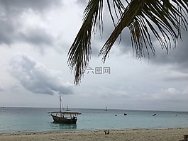 桑給巴爾島,海洋,非洲