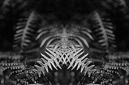 劃船,黑白色,幻想