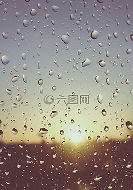 雨滴,水,濕
