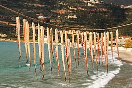 挂章鱼,死亡,海鲜