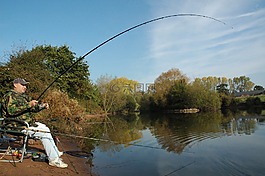 釣魚,鯉魚,漁