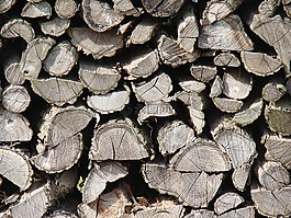 木,holzstapel,堆棧