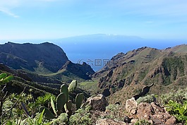 la 爬行動物,加那利群島,島