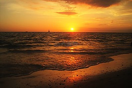 佛羅里達州,日落,海