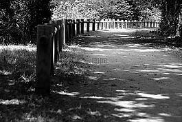 allee,長廊,性質