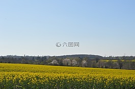 諾曼底,場(chǎng),綠色