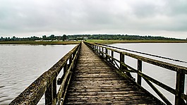 北海,湖,海