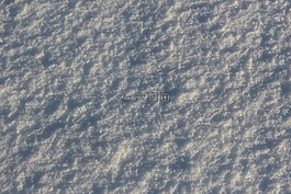 雪,冷,白