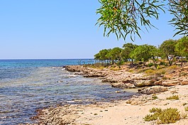海灘,海岸,海