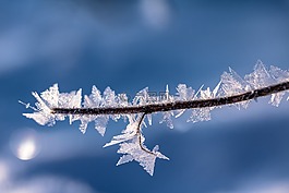 eiskristalle,弗羅斯特,凍結