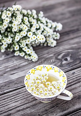盛開,開花,洋甘菊