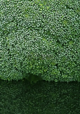 食欲,西蘭花,花椰菜 broccolli