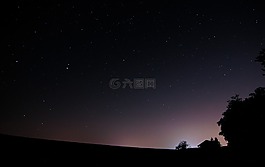 夜,森林,夜晚的天空