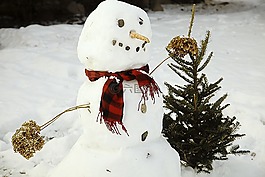 雪人,雪,白