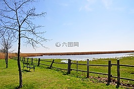 海景,neusiedl 湖,景觀