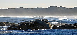 海岸,喷雾,大象岩