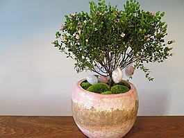 花,廠,復(fù)活節(jié)彩蛋