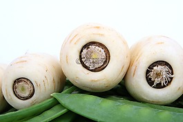 食欲,豆類,卡路里