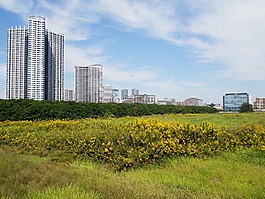 房地產(chǎn),土地,發(fā)展