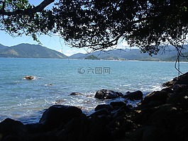 海灘,巴西,沙