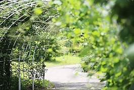玫瑰布什,國情咨文,方法