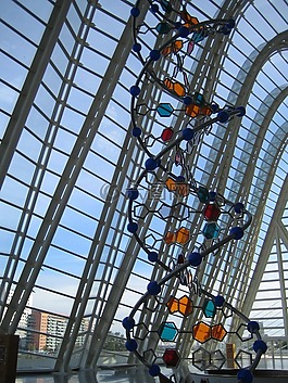dna,結構